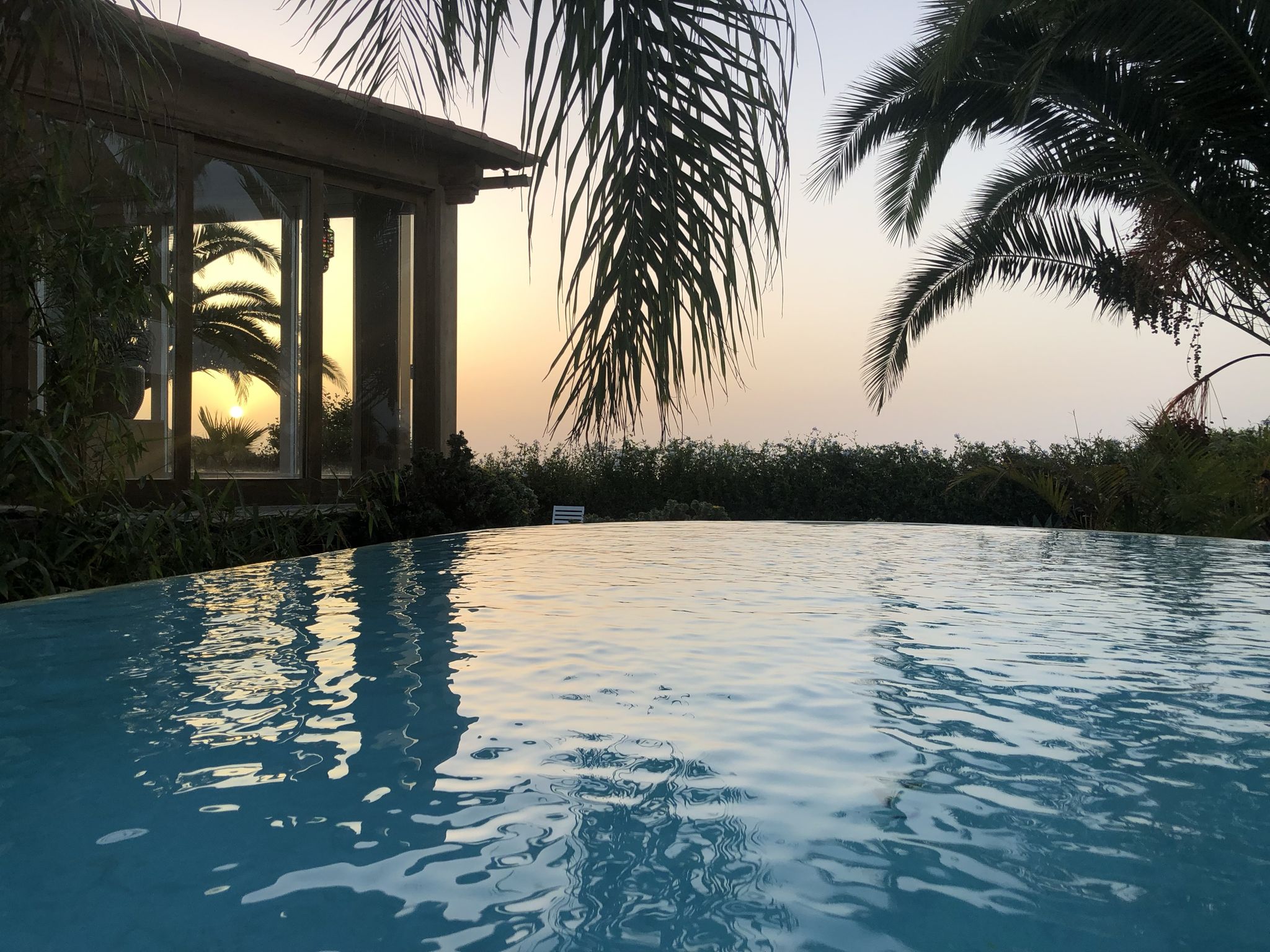Infinity-Pool des Ferienhauses Bellamare bei Sonnenuntergang, mit Palmen und Wintergarten – Icod de los Vinos, Teneriffa Nord