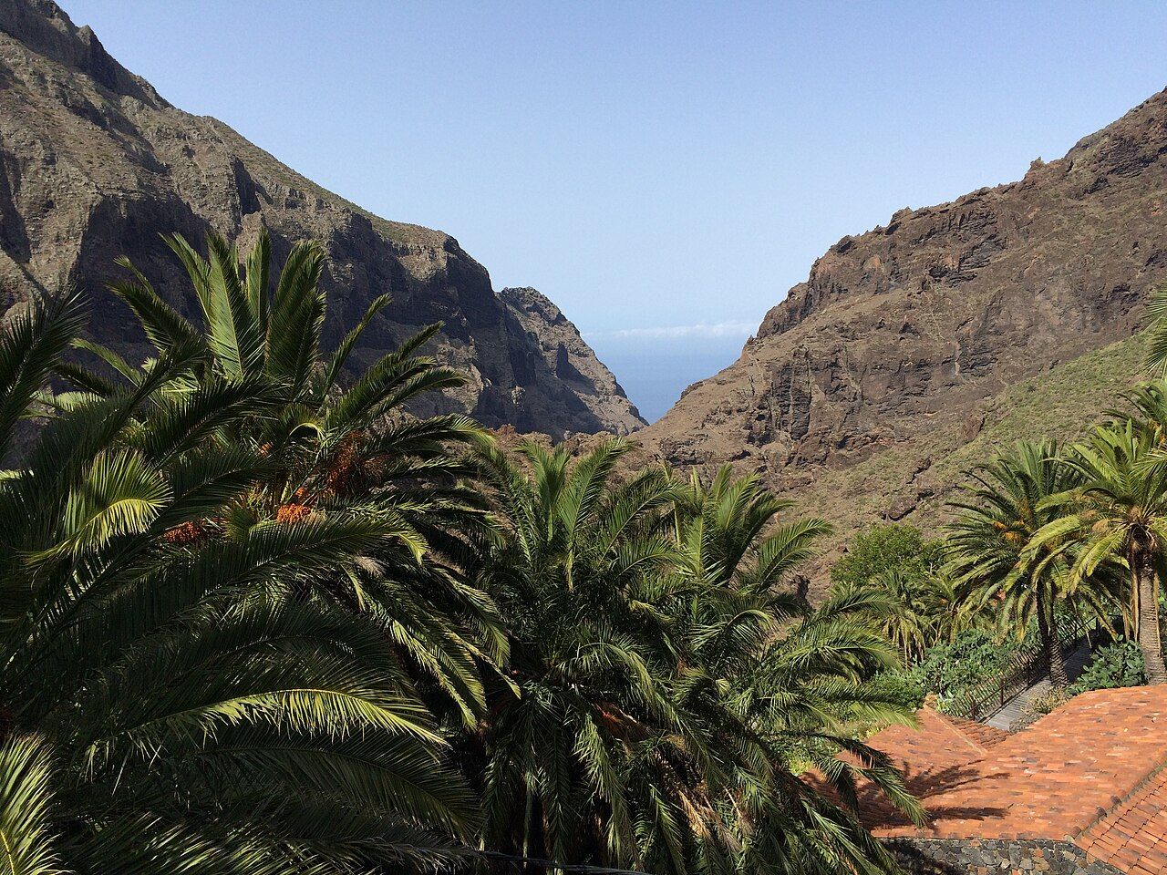 Das Masca-Tal im Teno-Gebirge mit Palmen und Blick zum Meer