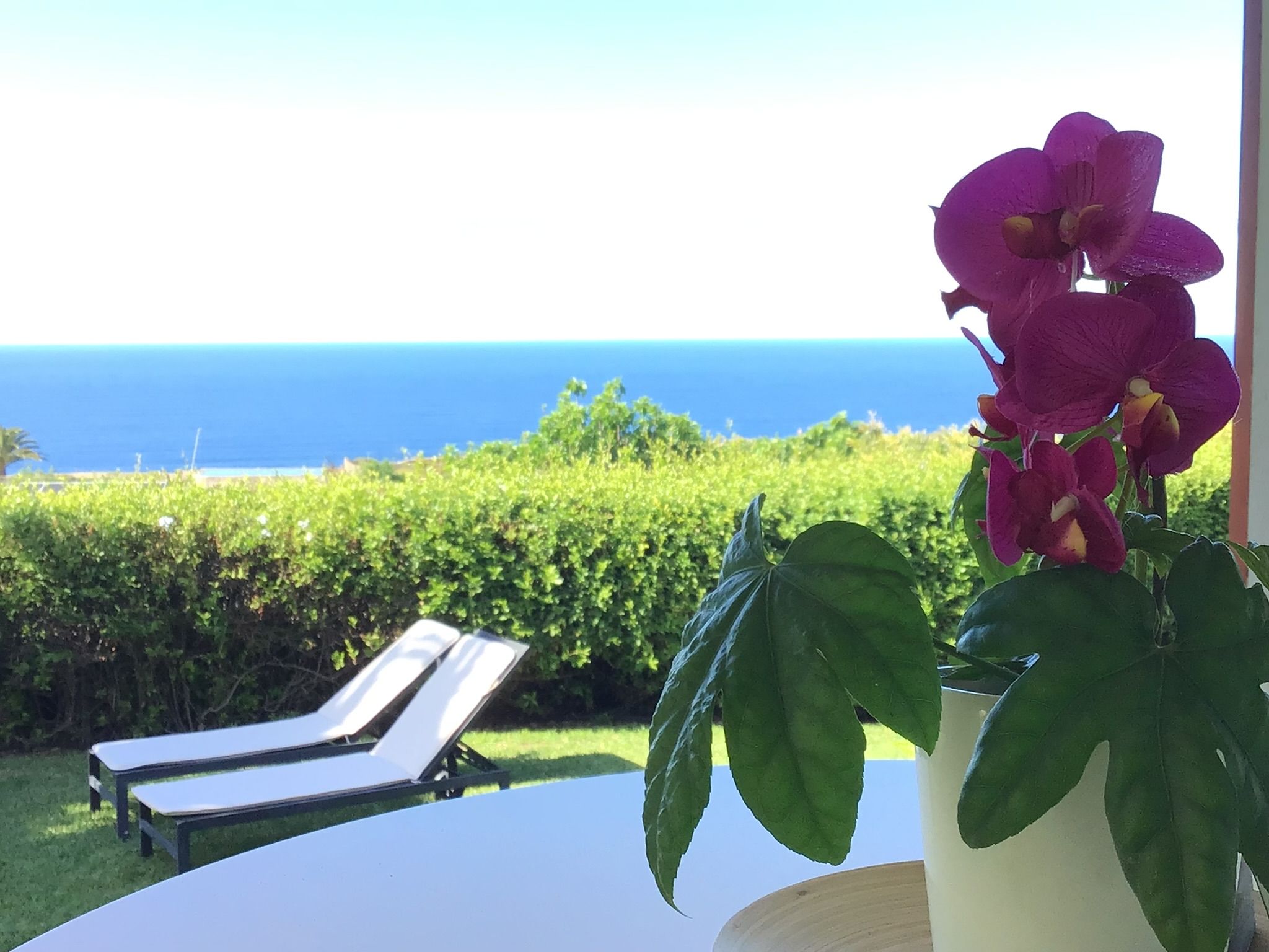 Bellamare: Zwei Sonnenliegen auf dem Rasen vor einer Hecke, dahinter der Atlantik, vorn eine Orchidee