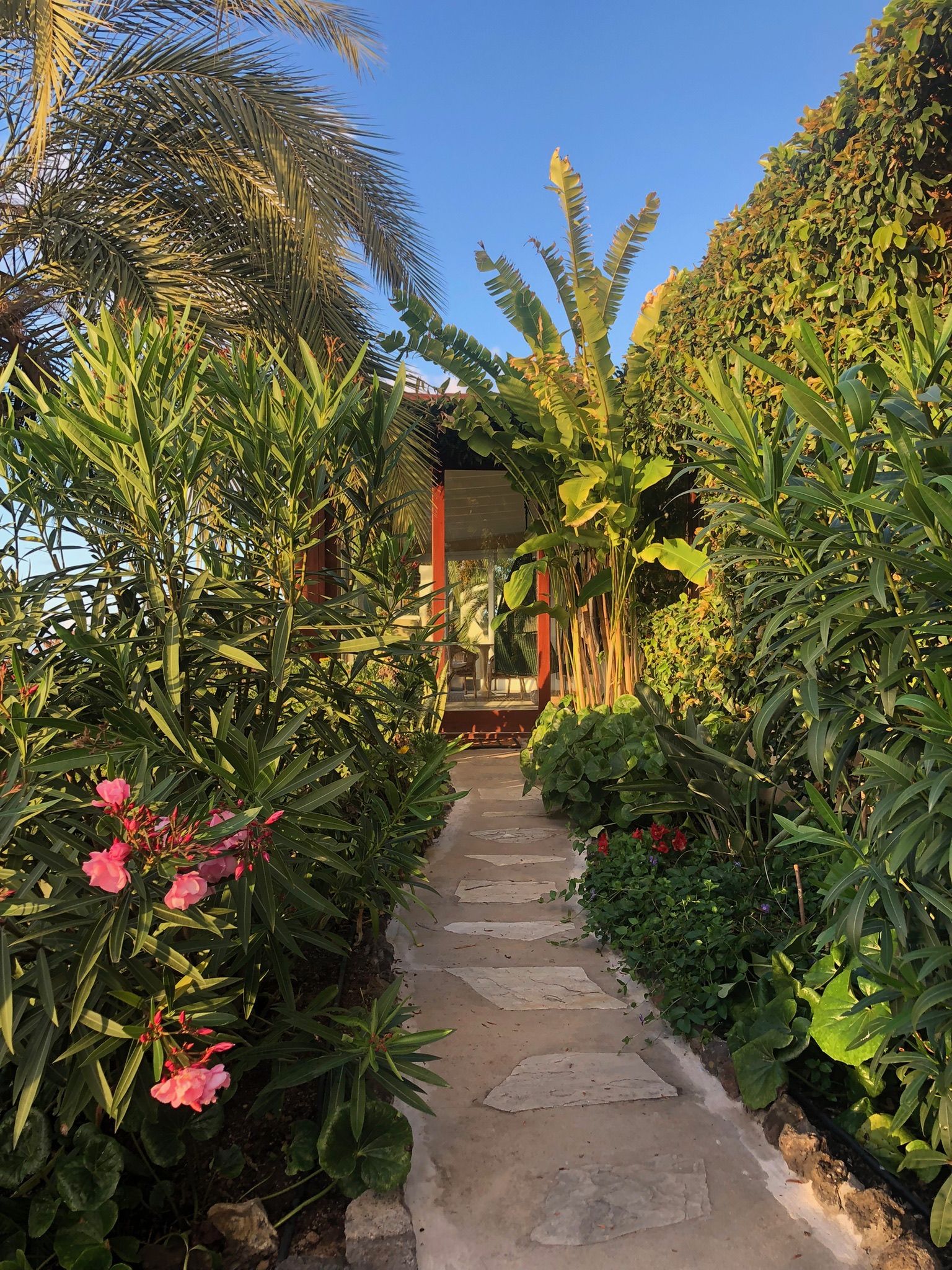 Bellamare: Gartenweg aus Steinplatten zwischen Oleander und Bananenstauden, der zum Haus führt