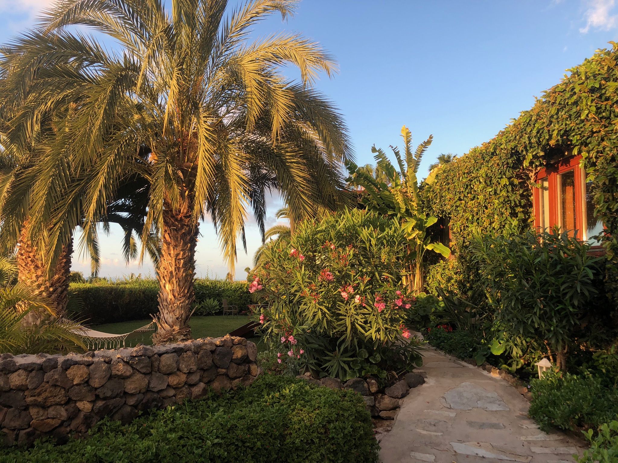 Bellamare: Garten mit Dattelpalmen, blühendem Oleander und Natursteinmauer neben dem bewachsenen Haus im Abendlicht