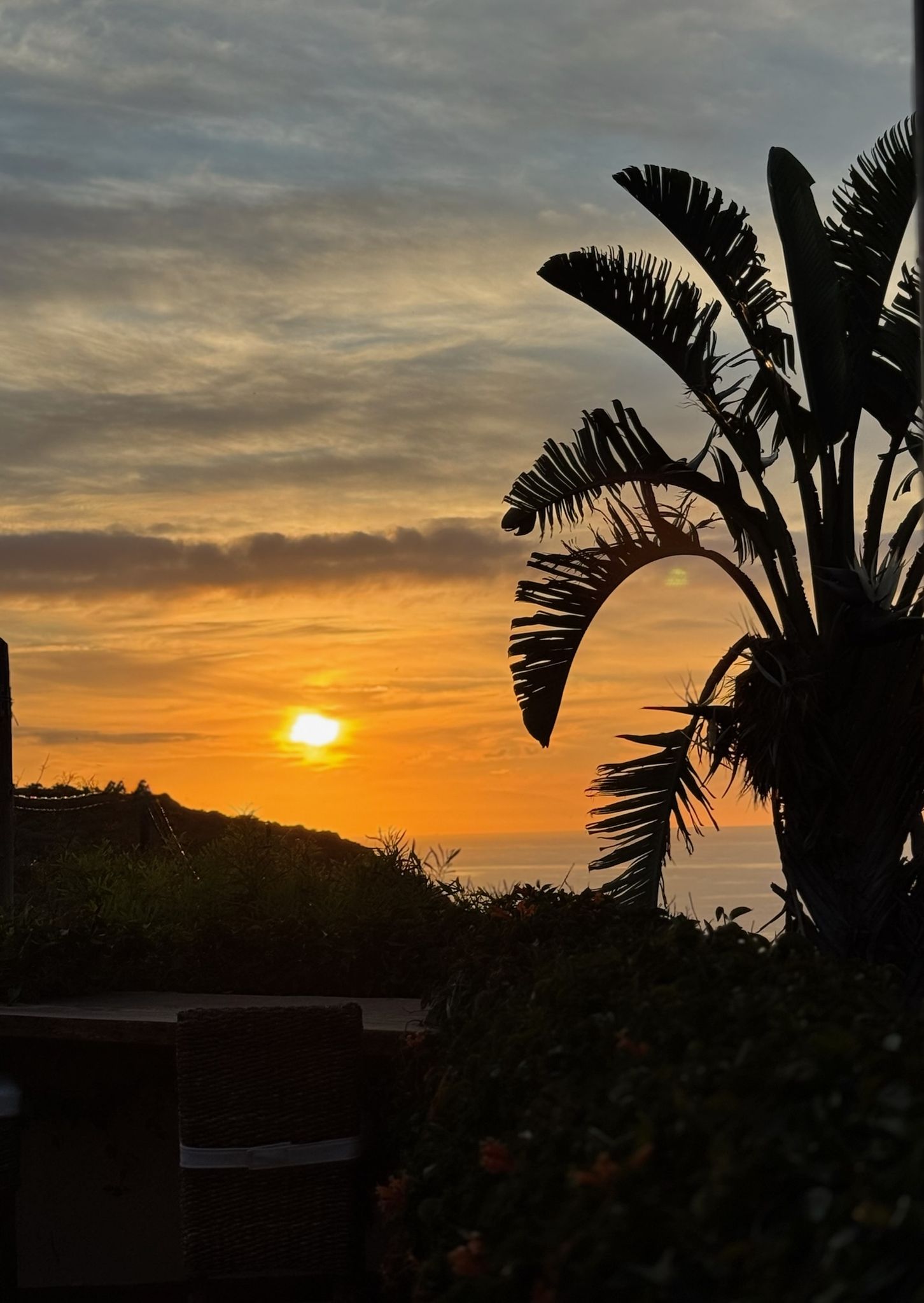 Casita Aquavista: Sonnenuntergang über dem Meer, gesehen von der Dachterrasse, rechts die Silhouette einer Strelitzie