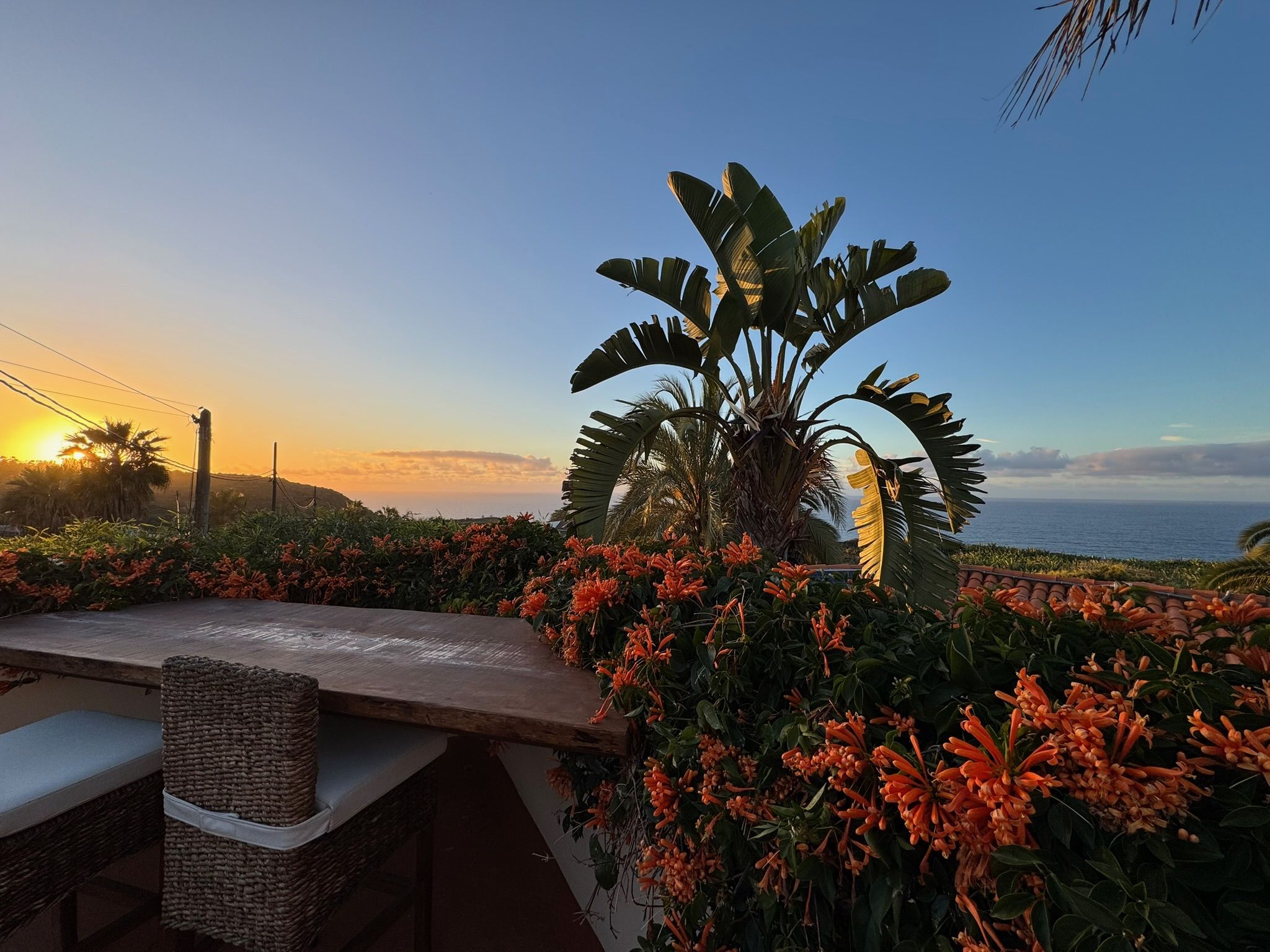 Casita Aquavista: Bartresen auf der Dachterrasse zwischen orange blühenden Kletterpflanzen, Meerblick bei Sonnenuntergang